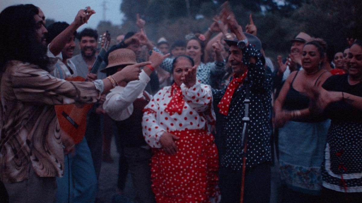 Bucharest International Dance Film Festival #11 transformă Bucureștiul în capitala filmului de dans și a artelor performative