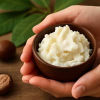 Untul de Shea: Remediul tradițional african pentru o piele catifelată și sănătoasă