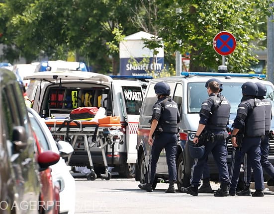 Noi detalii șocante ale atacului din Austria. Suspectul, fost elev la școala unde a produs tragedia