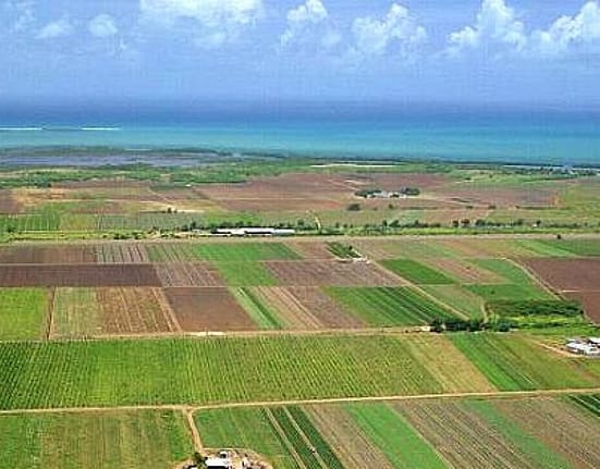 Lovitură pentru agricultori: crește cu 140% baza de impozitare a terenurilor