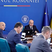 Guvernul oferă subvenții de 2.250 lei/lună pentru angajarea victimelor violenței domestice