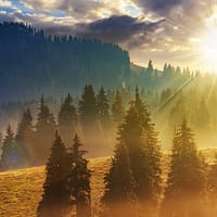 Vremea în primă lună de toamnă: ANM anunță temperaturi de vară, de până la 33 de grade, în septembrie