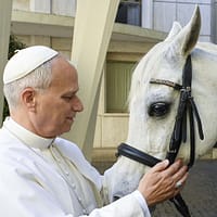 VIDEO Cadoul inedit primit de Papa Leon. „Așa mi-a venit ideea de a-i oferi un frumos pursânge arab”