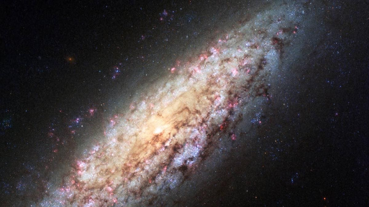 Observatorul LIGO confirmă pentru prima dată teoria lui Stephen Hawking privind găurile negre