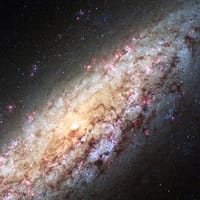 Observatorul LIGO confirmă pentru prima dată teoria lui Stephen Hawking privind găurile negre