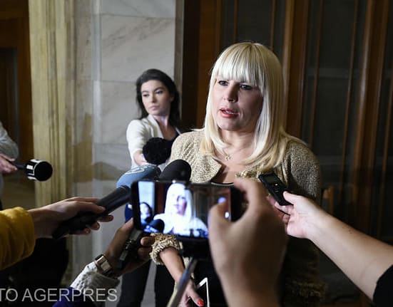 Elena Udrea, internată în spital. Ce spun medicii despre starea de sănătate a fostului ministru