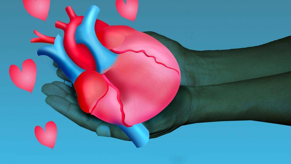 Obiceiul de seară care îți afectează inima. Află ce recomandă cardiologii pentru o relaxare cu adevărat benefică pentru organism