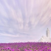 Biserica fără umbră din China. Cum a fost construit lăcașul de cult