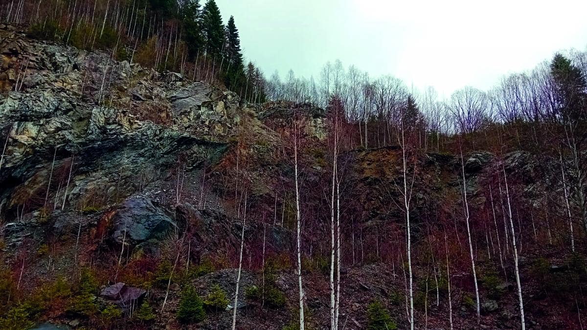 Salrom, în război deschis cu ministrul Economiei, înainte de listarea la bursă a companiei