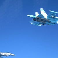 Două avioane militare rusești au încălcat spațiul aerian al Lituaniei: „Acest incident demonstrează încă o dată că Rusia se comportă ca un stat terorist”