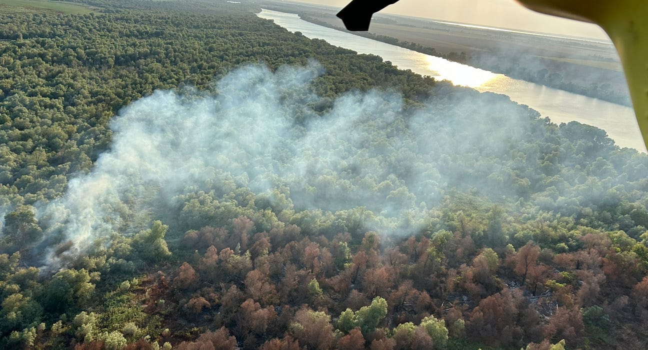 Incendiu de vegetație la Chilia Veche. Elicopterul Black Hawk, trimis să intervină