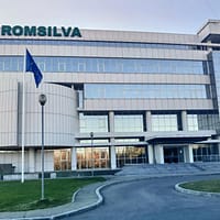Romsilva va oferi populației 2 milioane metri-cubi de lemn pentru foc în 2025