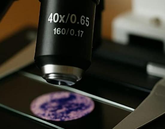 Lepră în România, după aproape jumătate de secol. Surorile din Bali au masat și participanții la Untold