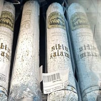 Din nou printre românii din Detroit