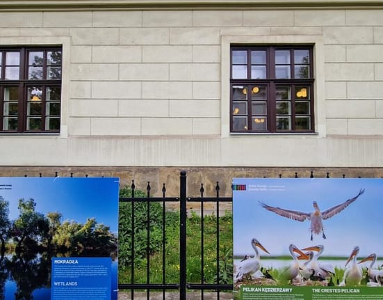 Patrimoniul natural și cultural al Deltei Dunării, promovat în Polonia cu fotografii de Florin Andreescu
