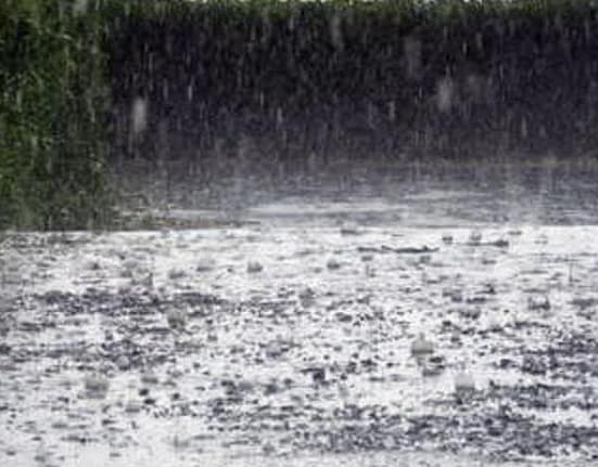 Ploile îi bagă în ședință pe prefecți și șefii ISU. Cantitățile de precipitații se pot dubla