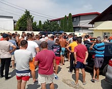 Revoltă la Lungulețu: Agricultor ridicat de poliție pentru că a udat cultura de varză cu apă din Dâmbovița / foto în articol