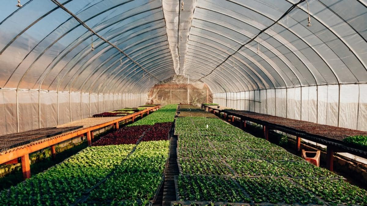 PSD cere eliminarea impozitului pe solare 