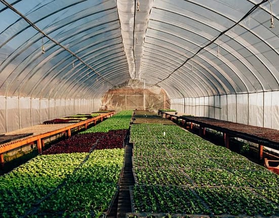 PSD cere eliminarea impozitului pe solare 