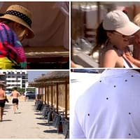 Invazie de buburuze pe litoral. Ce spun specialiștii