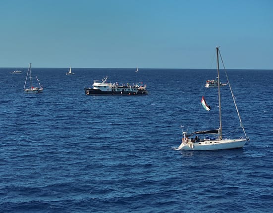 Armata israeliană tocmai a interceptat flotila cu ajutor umanitar care vrea să spargă blocada asupra Fâșiei Gaza. Ce vor organizatorii să facă mai departe