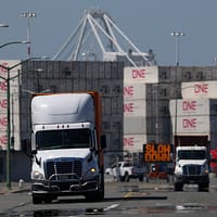 Cum ocoleau companiile americane taxele vamale impuse de Donald Trump, înainte ca justiția americană să le anuleze cu totul