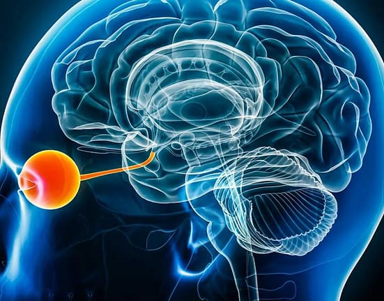 BrainGate2, noua interfață care ajută pacienții cu SLA să vorbească aproape în timp real