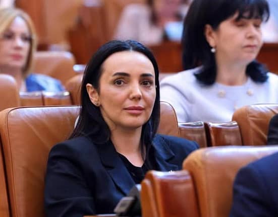 Deputații PSD invită Guvernul la colaborare pentru legea împotriva hrănirii urșilor