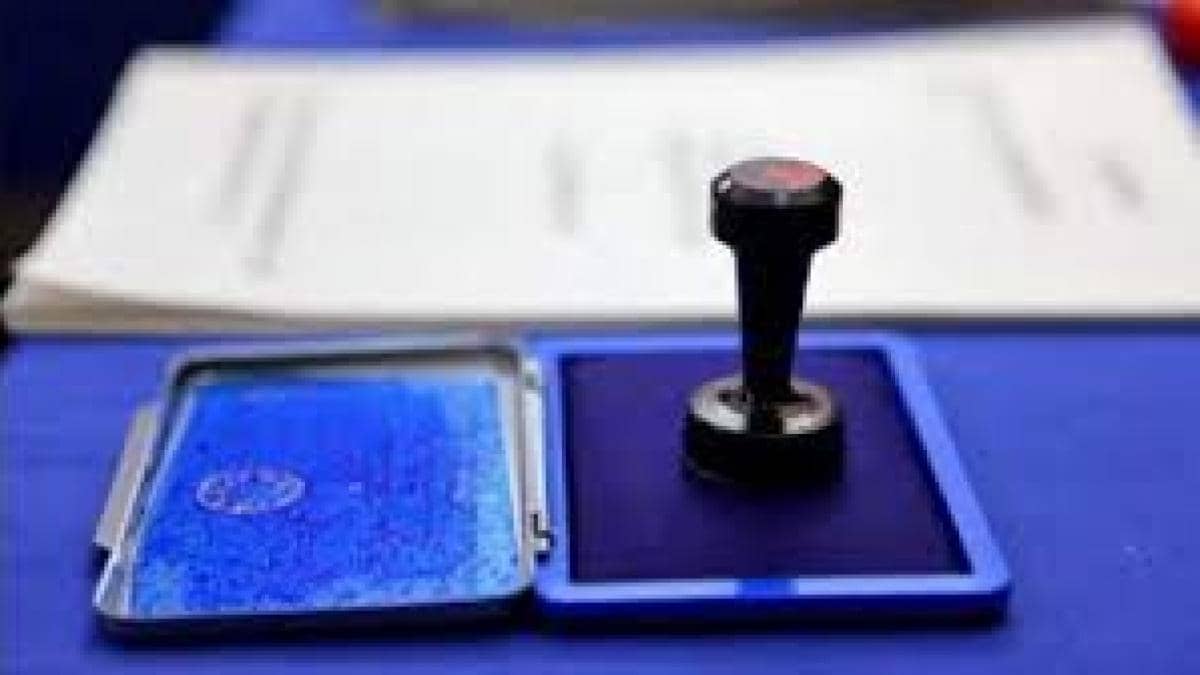 AEP îndeamnă la calm: Există suficiente buletine de vot la secțiile de votare din străinătate