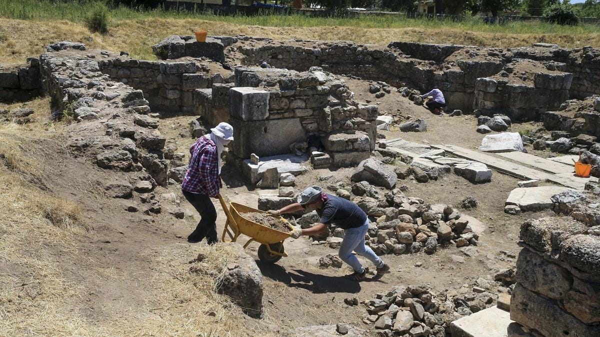 Arheologii francezi descoperă un trunchi fosilizat vechi de 28 de milioane de ani