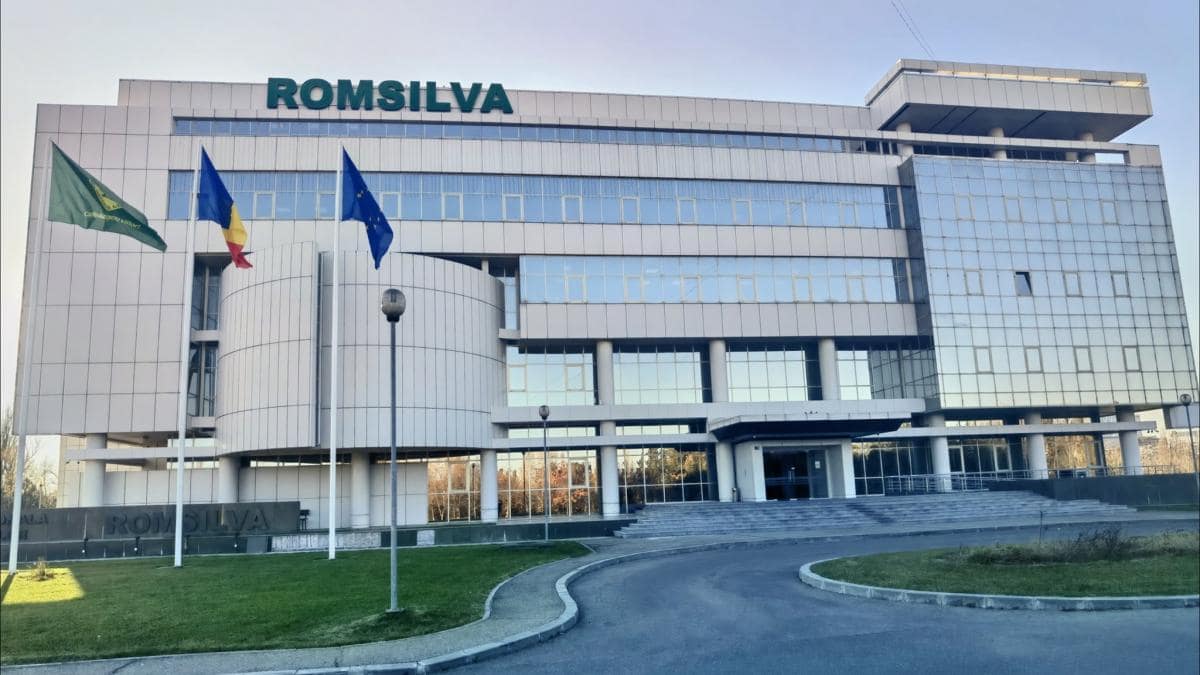 Romsilva va oferi populației 2 milioane metri-cubi de lemn pentru foc în 2025