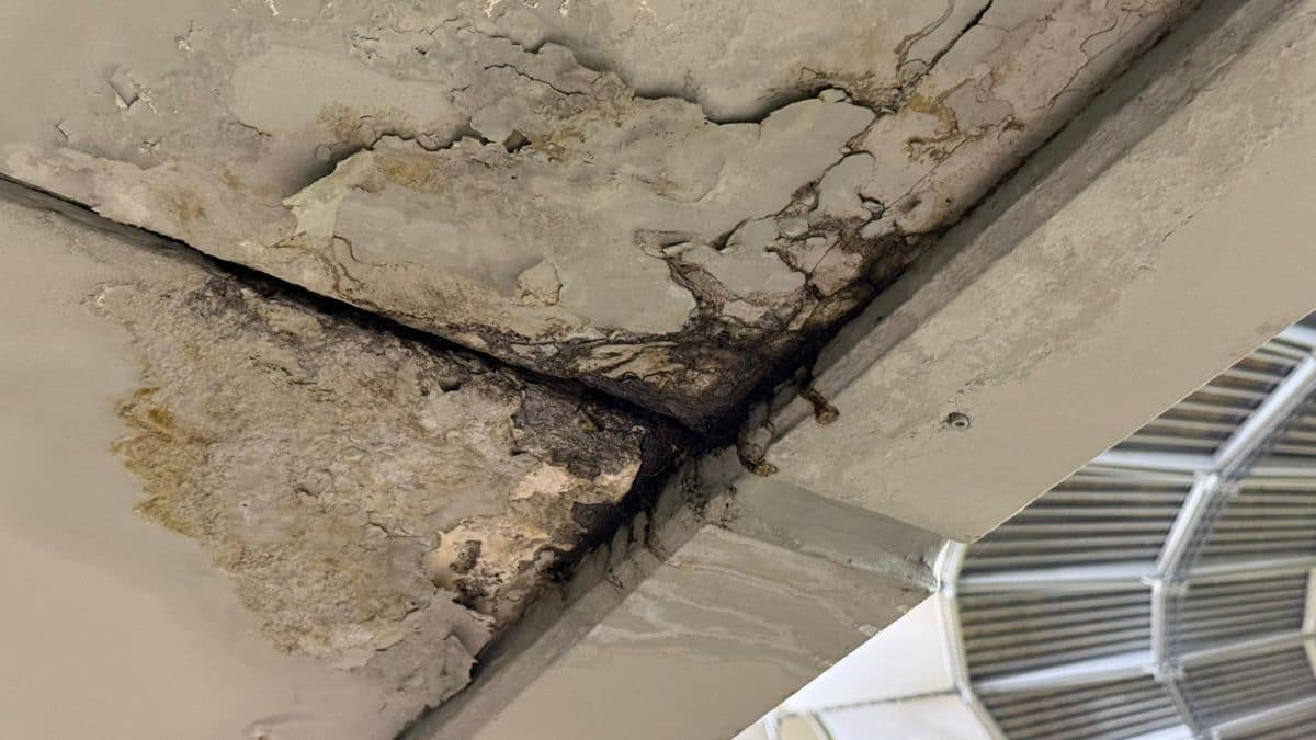 Urmările ploilor masive pe Arena Națională » Imagini incredibile pe cel mai scump stadion din România, la FCSB