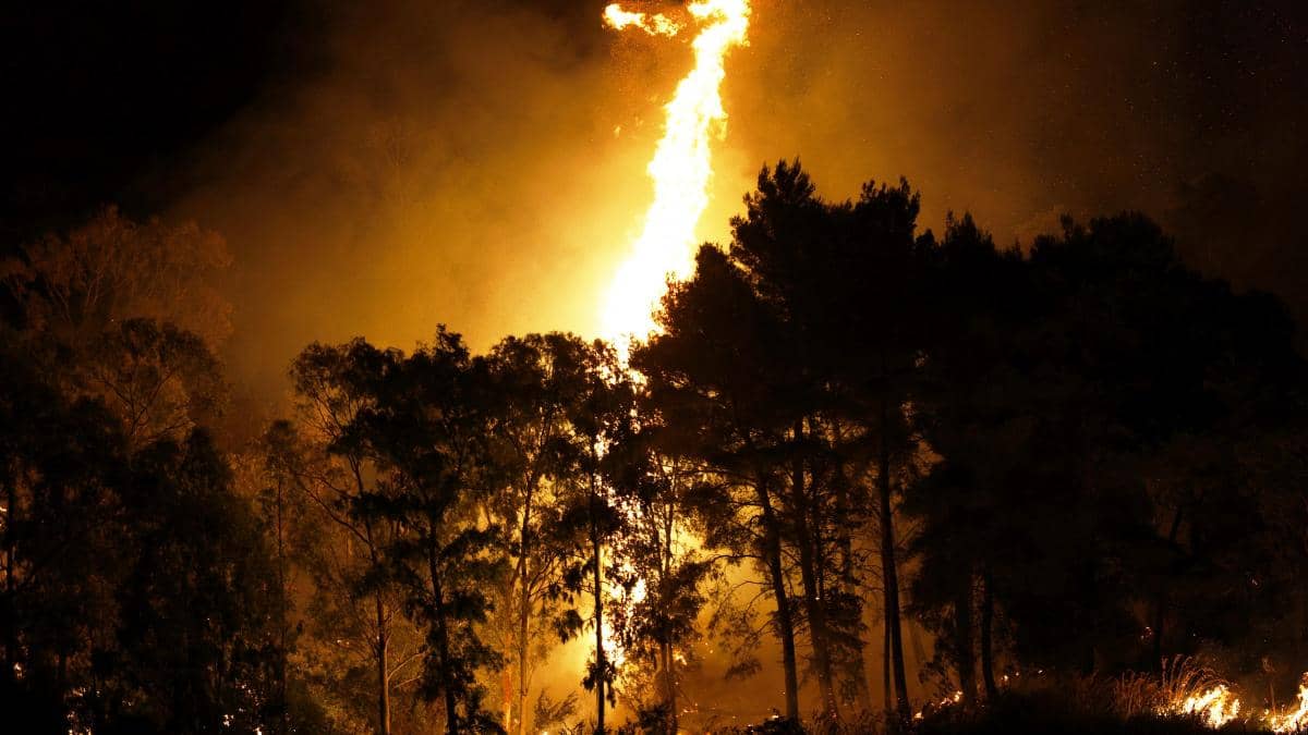 Premieră: Google lansează un satelit pentru detectarea rapidă a incendiilor