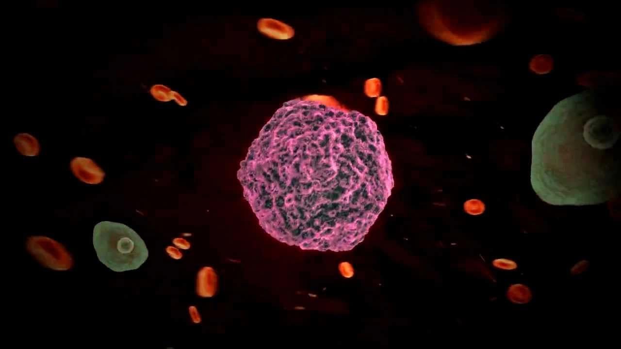 Revine febra tifoidă? O tulpină rezistentă a ceea ce se credea a fi ‘boala vremurilor de demult’ se răspândește din nou pe glob. Cercetătorii au lansat deja avertismente