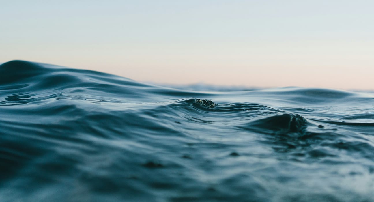 Descoperire în adâncurile Oceanului Pacific: O „oază vibrantă“ de animale devoratoare de substanțe chimice