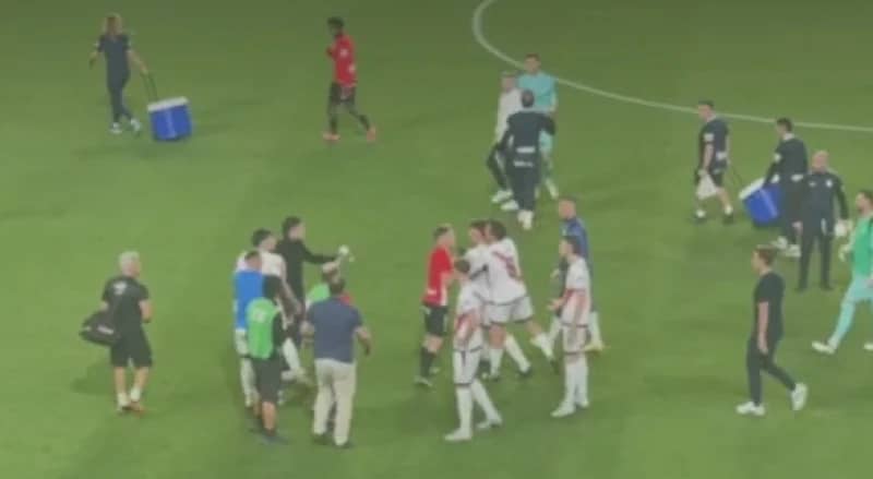 Cei doi jucători au fost despărțiți de coechipierii lor. Captură video