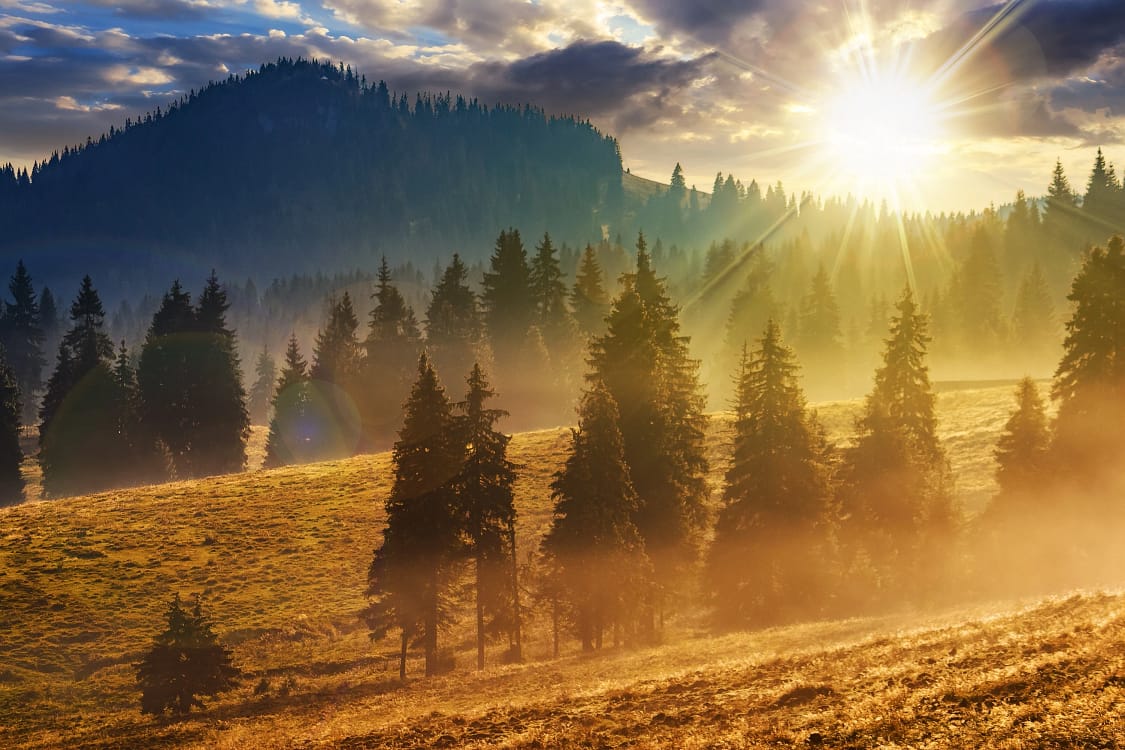 Toamna va continua cu temperaturi ușor peste media normală. FOTO: Shutterstock