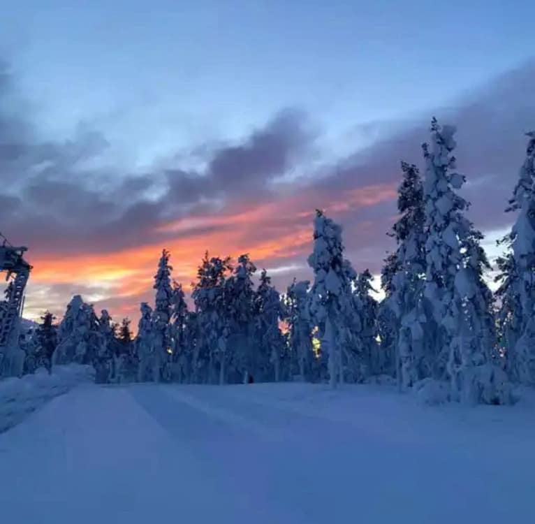 Peisaj de iarnă din Laponia