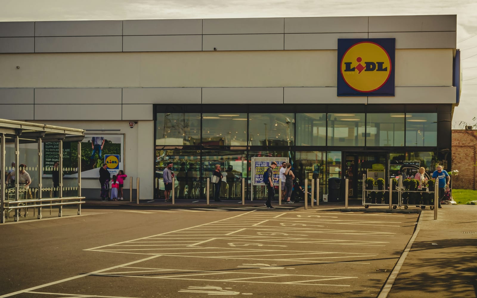 Alertă alimentară la Lidl! Ai consumat acest produs? A fost scos de la vânzare din cauza suspiciunii de Salmonella