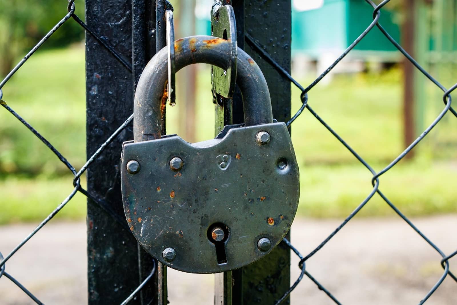 Vești proaste pentru români. Companiile de stat care se vor închide. Sunt o ”gaură neagră” anunță Bolojan