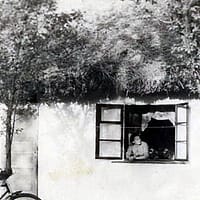 Valea Călmățui, unde s-a sfârșit iadul. Mărturii din timpul domiciliului forțat al lui Corneliu Coposu: „Ce mizerii ați îndurat?“