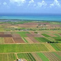 Lovitură pentru agricultori: crește cu 140% baza de impozitare a terenurilor