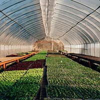 PSD cere eliminarea impozitului pe solare 