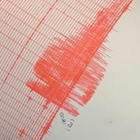 Două cutremure în România, sâmbătă. Unul într-o zonă atipică