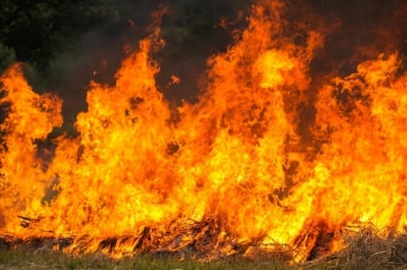 Incendii devastatoare în Coreea de Sud: Mii de hectare au fost distruse și un templu budist a ars complet