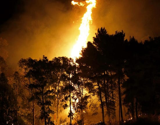Premieră: Google lansează un satelit pentru detectarea rapidă a incendiilor