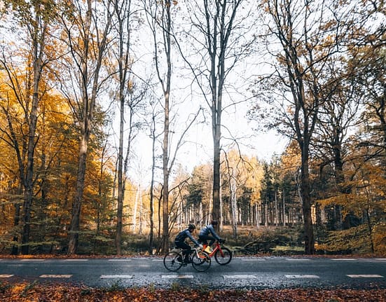 Autostrăzile pentru biciclete, populare în nordul Europei. Cum arată infrastructura în România față de cea din Danemarca