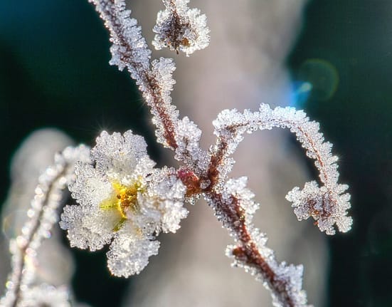 Fenomenul neobișnuit care a provocat alunecarea vortexului polar spre Europa. Vremea se va răci brusc, deși suntem în aprilie