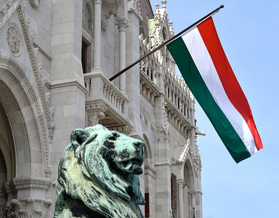 Budapesta se opune tarifelor împotriva SUA anunțate de UE. Șeful diplomației ungare: „Bruxellesul este incapabil să facă față situațiilor dificile”