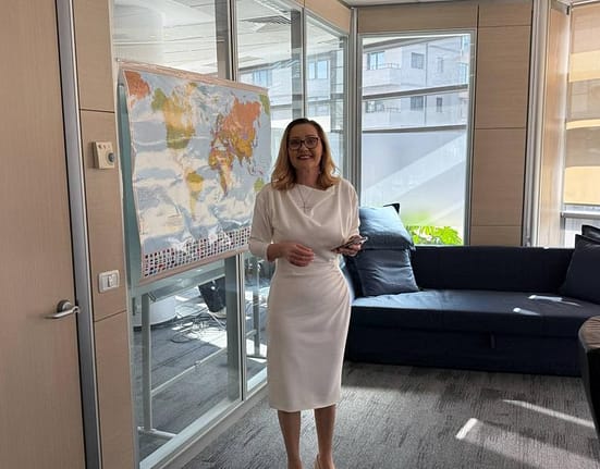 Alegeri prezidențiale 2025. Reportaj cu Regele Lear: Exit-poll-urile așteptate în singurătate de Elena Lasconi, candidata care a luat 1,7 milioane de voturi acum 5 luni